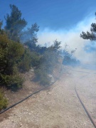 Manisa'da Kısa Sürede Kontrol Altına Alınan Orman Yangını