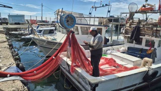 Marmara Denizi'nde Av Yasağı ve Müsilaj Sorunu