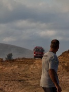 Marmara Denizi'nde Paşalimanı Adası'nda Korkutan Yangın