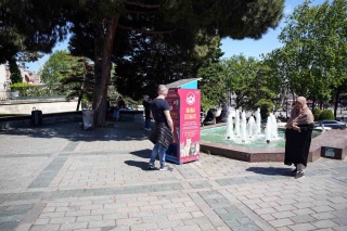 Martılar Kedileri Taklit Etti, Kedi Ototmatından Mama Aldı