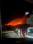 Milas'taki Orman Yangınına Müdahale Devam Ediyor