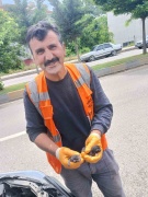 Motor Kısmına Sıkışan Yavru Kedilerin Dramı