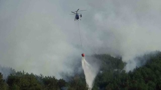 Mudurnu'da Biçerdöverden Sıçrayan Kıvılcımlar Orman Yangınına Neden Oldu
