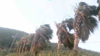 Muğla'da Kuvvetli Rüzgar ve Fırtına Uyarısı