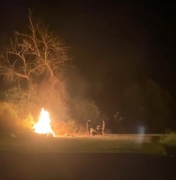 Muğla'da Orman Yangını: Kasıtlı Ateş İddiaları