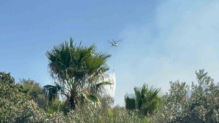 Muğla'daki Orman Yangınları: Mücadele ve Dayanışma