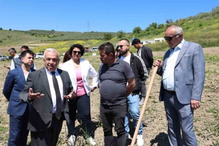 Nilüfer Belediyesi Zeytin Fidanlarıyla Tarıma Destek Veriyor