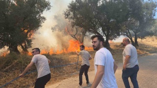 Orhangazi'de Zeytinlik Yangını: İki Çocuk Gözaltında