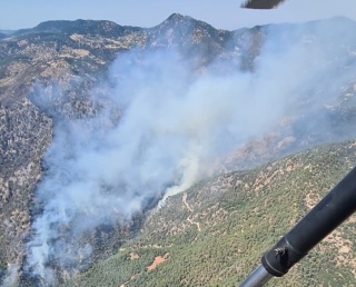 Orman Yangını Alarmı: İstemeden Çıkarılan Yangın