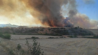 Orman Yangını NATO Tesislerine Sıçradı