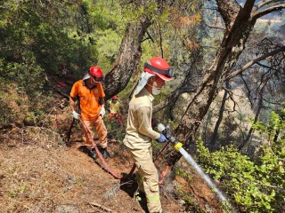 Orman Yangınına Karşı Zamanla Yarış