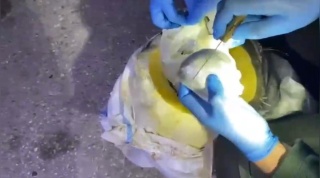 Osmaniye'de Bal Kabağından Çıkan Şaşırtıcı Keşif