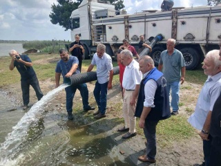 Samsun'da 2 Milyon 341 Bin Yavru Sazan Balığı Doğaya Salındı