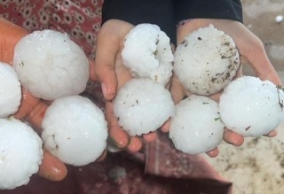 Şanlıurfa'da Dolu Yağışı Sonrası Zarar Tespiti ve Değerlendirme Çalışmaları Başlıyor