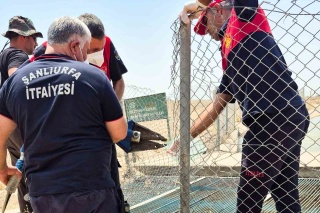 Şanlıurfa'da Kayıp Vakası: Sulama Kanalında Bulunan Ceset