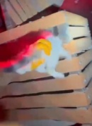 Şanlıurfa'da Kedinin Heyecanlı Kurtarılışı