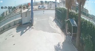 Şanlıurfa'da Sokak Köpeğinin Yol Açtığı Zincirleme Kaza