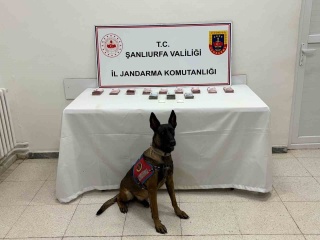 Şanlıurfa'da Uyuşturucu Operasyonu ve Ele Geçirilen Nakit