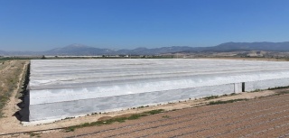 Serada Zehirlenme Vakası: Denizli'de 26 İşçi Hastanelik Oldu