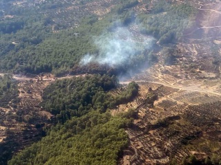 Seydikemer'de Orman Yangını Hızla Kontrol Altına Alındı