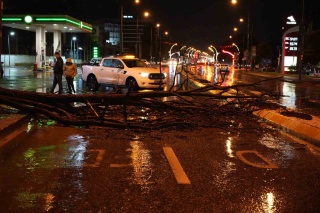 Şiddetli Yağış ve Rüzgâr Edirne'de Yol Kapattı