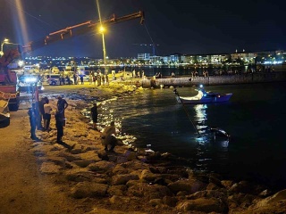 Silivri'de Denize Uçan Cipin İlginç Hikayesi