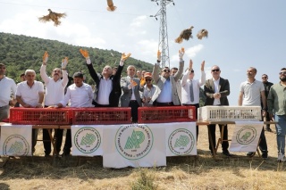 Simav’da 300 Keklik Doğaya Salındı