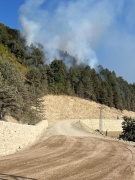 Sinop'ta Orman Yangını Tehlike Oluşturmuyor