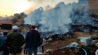 Sinop'ta Yangın Felaketi: Evler ve Ahırlar Kül Oldu