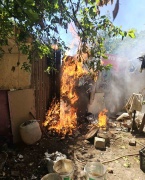 Şişli'de Yangın Paniği: Köpek ve Tavukların Bulunduğu Gecekondu Bahçesinde Alevler Yükseldi