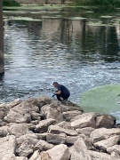 Sivas'ta Balık Ölümleri: Sebepler ve Sonuçlar