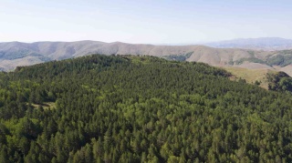 Sivas'ta Orman Yangınlarına Karşı Alınan Yeni Tedbirler