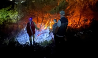 Söke'deki Orman Yangını Kontrol Altına Alındı