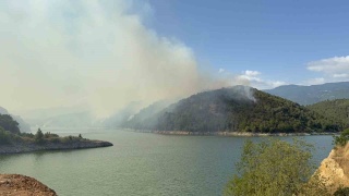 Tokat'taki Orman Yangını: 500 Dönüm Alan Tehdit Altında