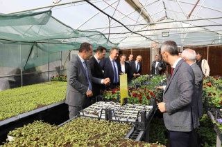 Trabzon Hurması Projesi: Yeni Bahçeler ve Destekler