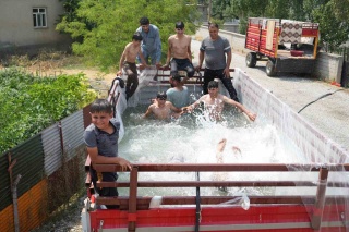 Traktör Römorkunda Yaratıcı Serinleme Yöntemi