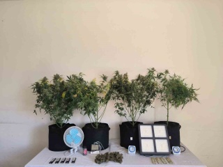 Tunceli'de Uyuşturucu Operasyonları: Temmuz Ayının Özeti