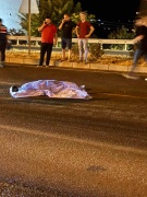 Turgutlu'da Motosiklet Kazası: Bir Kişi Hayatını Kaybetti