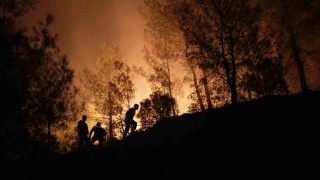 Türkiye Sinema Festivali 2025: Sinema Severleri Tek Çatı Altında Buluşturuyor