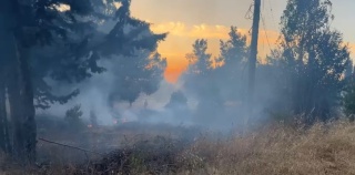 Uludağ Üniversitesi Yerleşkesinde Korkutan Yangın