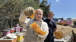 Uludağ’ın Eteklerinden Gelen Benzersiz Kara Kovan Balı