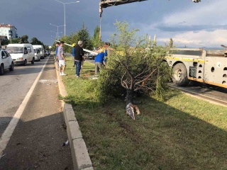 Uşak'ta Korkunç Kaza: Bir Kişi Hayatını Kaybetti, Bir Kişi Yaralı