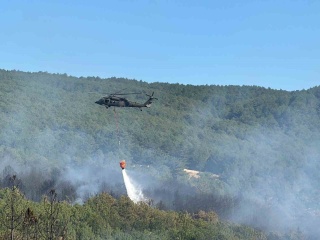 Uşak'taki Orman Yangını: Hava ve Karadan Müdahale
