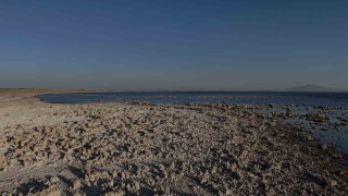 Van Gölü'ndeki Su Seviyesi Düşüşü ve Ekosistem Tehditleri