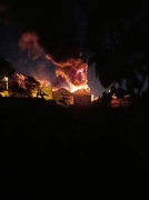 Yalova'da Çınarcık'ta Tarım İşletmesinde Yangın Paniği