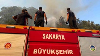 Yangınlarla Mücadelede Sakarya'nın Zor Günleri