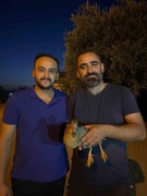 Yaralı Yaban Ördeğinin Kurtuluş Hikayesi