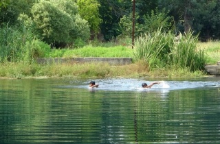 Yaz Aylarında Tehlikeli Serinleme: Baraj ve Göletlerin Gizli Tehlikesi