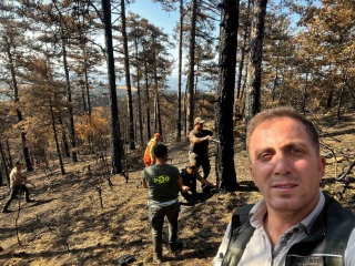 Yeniden Canlanan Yeşil Vatan: Geyve'de Umut Dolu Ağaçlandırma Seferberliği