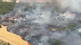 Yenişehir'de Buğday Tarlasında Yangın Kontrol Altına Alındı